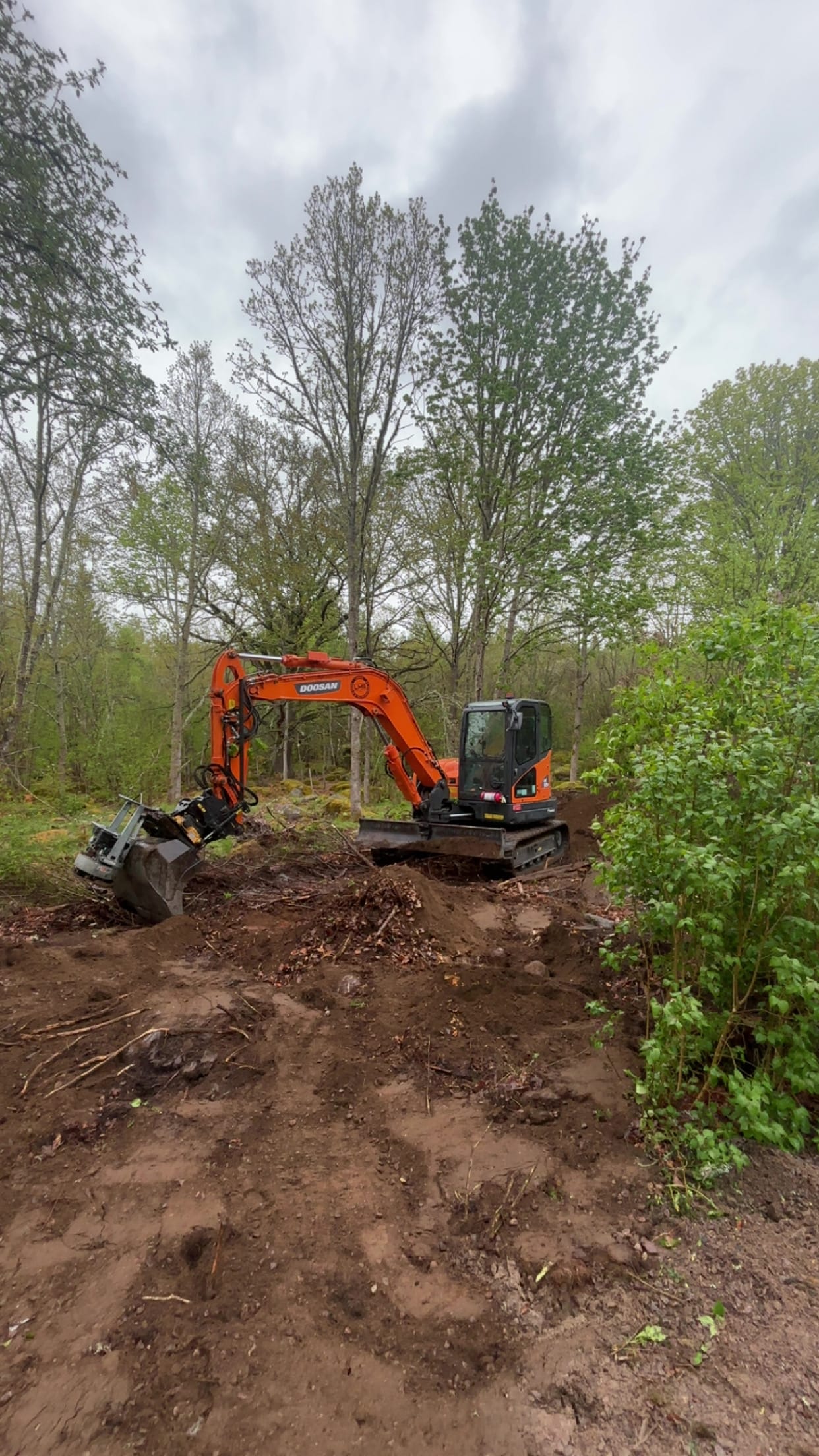 Doosan-grävmaskin vid markberedning i skogsmark